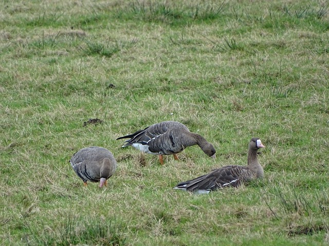 希望離隊後 希望離隊後