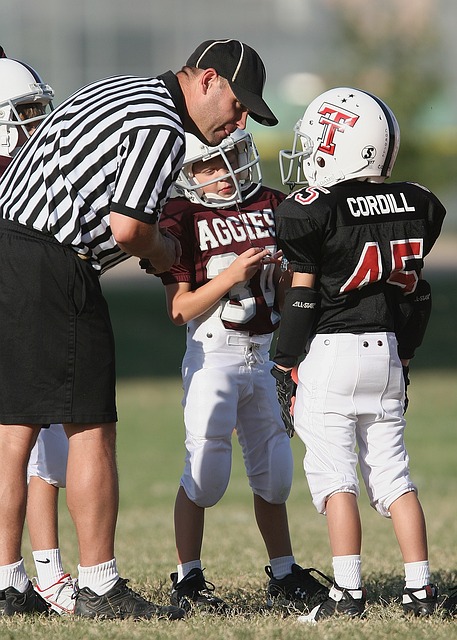 陳子豪爭奪 陳子豪爭奪