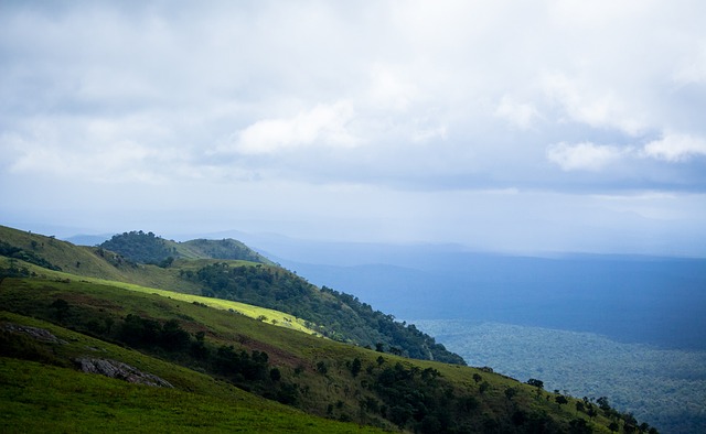 秀的外野手 秀的外野手