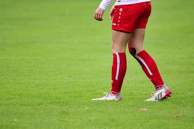 NBA｜公鹿主场发威 湖人吞3连败.