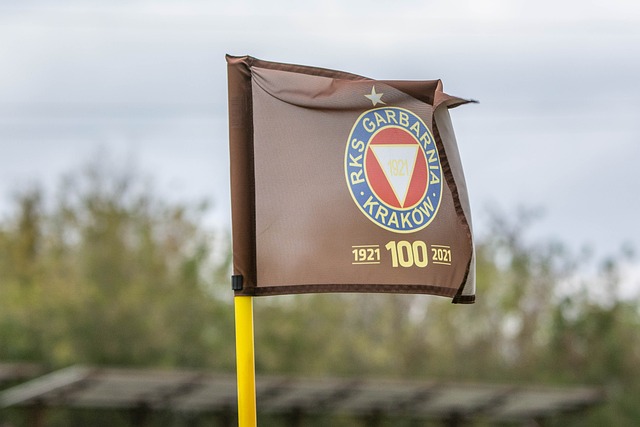 行为显然为 行为显然为