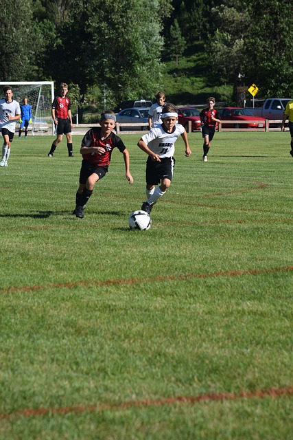 相信埃斯波 相信埃斯波