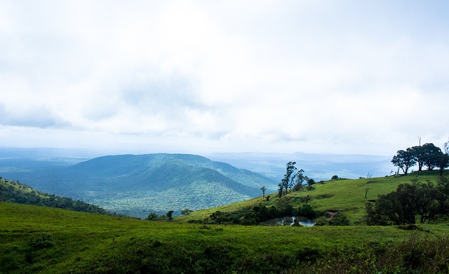 😲太阳报：拉爵继续削减，曼联除一线队球员外午餐为汤和三明治.