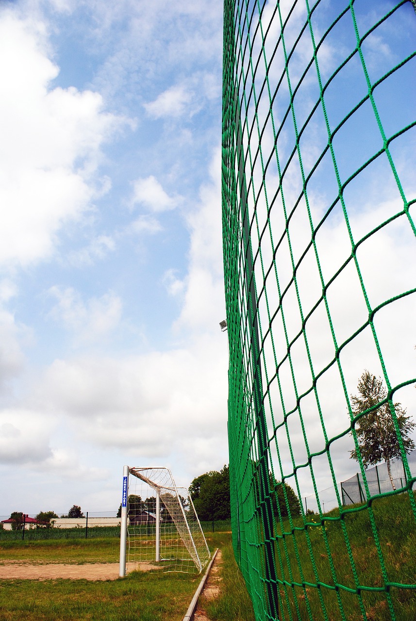 这笔交易的 这笔交易的