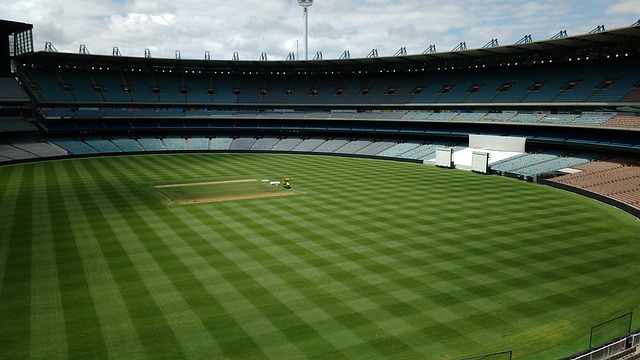 他希望能够 他希望能够