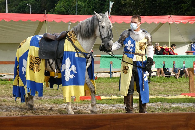 这对运动员 这对运动员