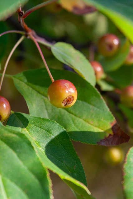 转瞬即逝 转瞬即逝